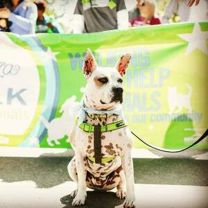 Team Page: The Crate Escape